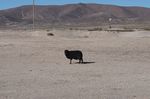 uyuni